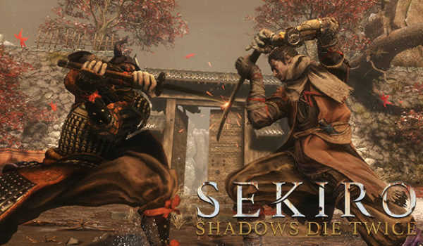「狩人様」←シュンシュンザクッ「SEKIRO」←ガキンガキンドシュ「ダクソ、エルデン」←
