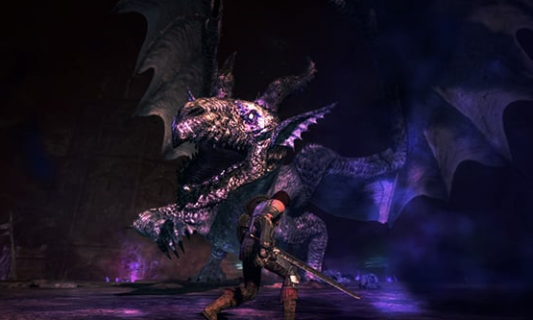 『デカいドラゴン』と戦えるアクションゲームってない？