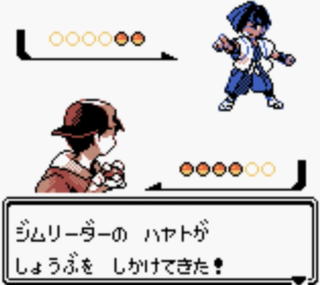 ワイ「やっとポケモン金銀発売か～！さて、最初のジムリーダーの手持ちは…」