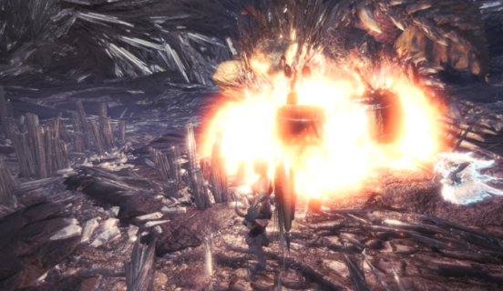 【モンハン】ワイ「早く大タルG置け大タルG!ww」友達「よっしゃあ爆発で倒す!せーの、ドカーーーンwww」