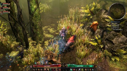 『ハクスラRPG』とかいう数千時間遊べる傑作ジャンルが日本で流行らない理由