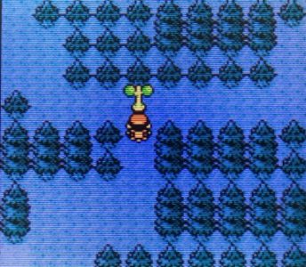 ポケモン主人公「ウソッキー(120cm38kg)が道を塞いでいて通れない…」