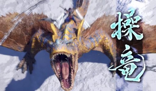 モンハンライズの操龍って要る?