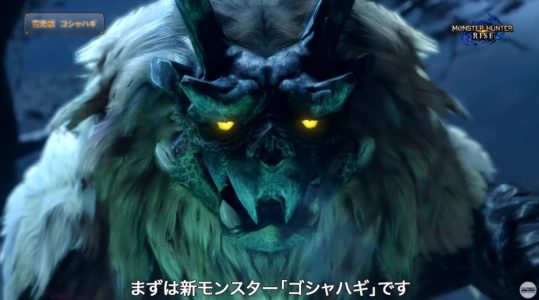 現在『モンハンライズ』で確認されているモンスター一覧