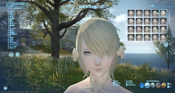 FF14やってるんやが女キャラがエチチすぎる