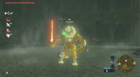 【悲報】海外ゲーマー「敵のHPや与えたダメージ数を表示させるな」