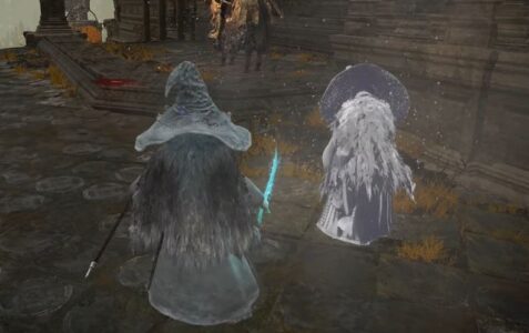 エルデンリングの遺灰システム、大成功