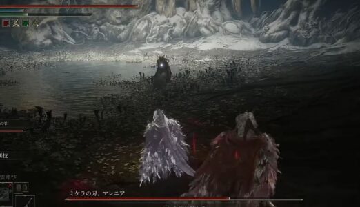 『エルデンリング』ワイ、マレニアが倒せなくて発狂