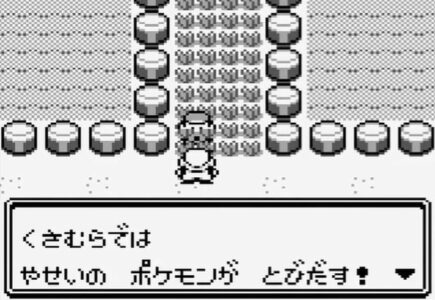オーキド博士「待て！草むらは危険じゃ！」←これ