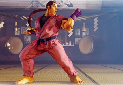 ストリートファイターのダン「自力で手のひらから気弾出せます。断空脚使えます」←こいつ