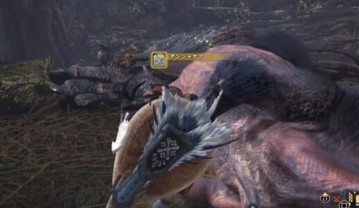 モンハンのハンター「ハァハァ…命がけでモンスター討伐したぞ…よし、剥ぎ取りは3回だけっと」