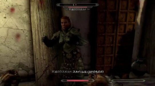 ChatGPT「スカイリムはノルドのもの！ストームクロークは正しい」