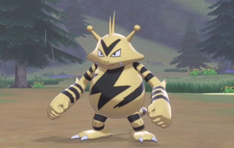 【ポケモン】ガキワイ「エレブーとブーバーが進化!?うおおおお!」