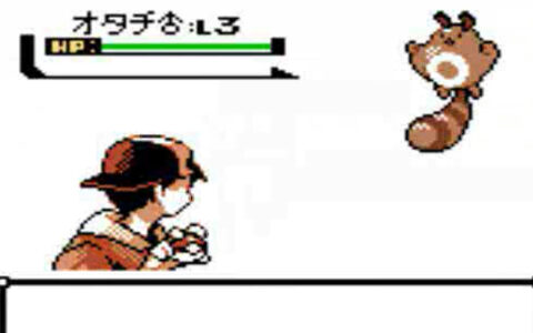 『オタチ』とかいうポケモン序盤のノーマルポケモン界の面汚し