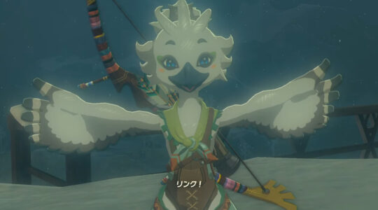 『ゼルダ ティアキン』の有能NPC「チューリ」『チューリ』【チューリ】に決定するww