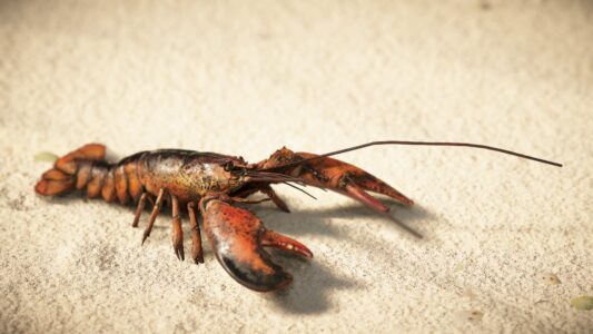 【画像】なんてゲームのスクショでしょーか！？