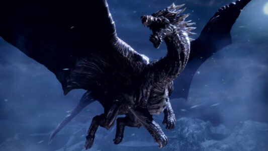 モンハン「クシャルダオラに閃光弾耐性付けたろ!」←こいつ