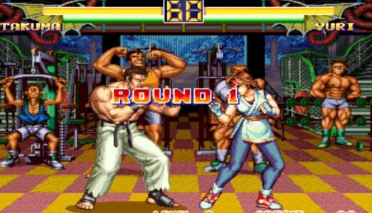 一番やりこんだ格ゲーは？「龍虎の拳、KOF、ストII、ワーヒー、餓狼伝説、バーチャ、豪血寺一族、サムスピ、鉄拳、ヴァリアブル・ジオ」