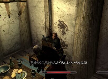 面接官「スカイリムは誰のものですか？」ワイ「ノルドのものです」