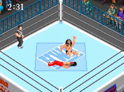 【悲報】国産プロレスゲームが出ない