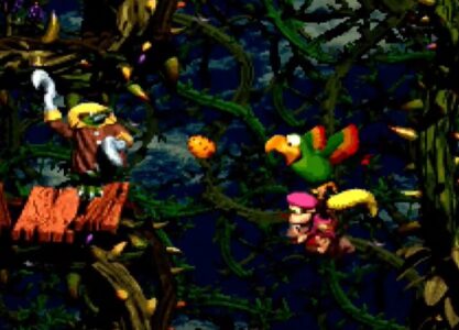 ドンキーコングのスコークス「エッッッッッッ」