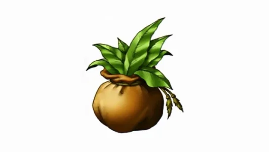 なんで宝箱にやくそう入ってんだよ…