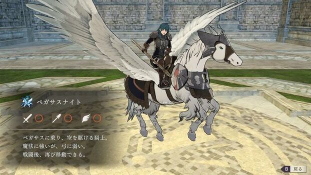 ファンタジーでペガサスに乗る騎士団とかあるじゃん？